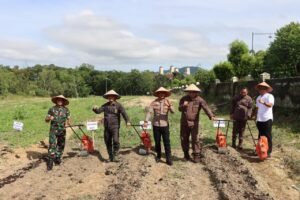 Program Swasembada Pangan Nasional 2025