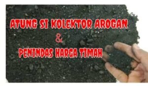 Kolektor Timah ILegal