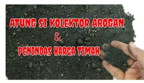 Kolektor Timah ILegal